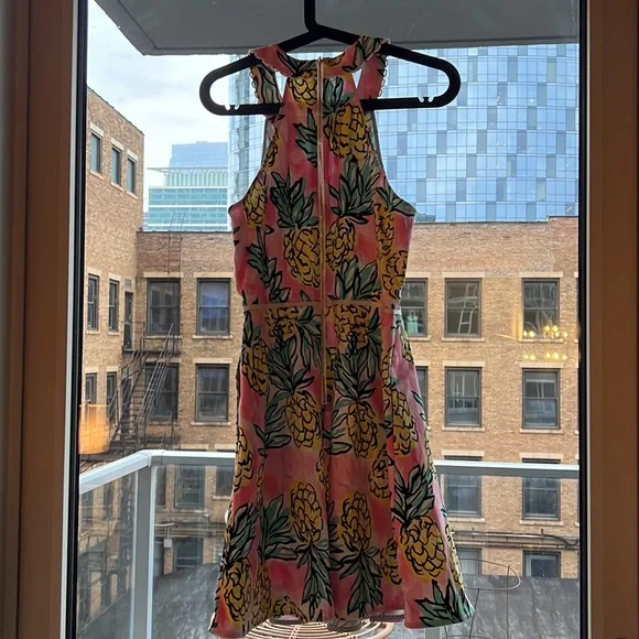 Draper James Pink and Yellow Pineapple Dress - Picture 4 of 4